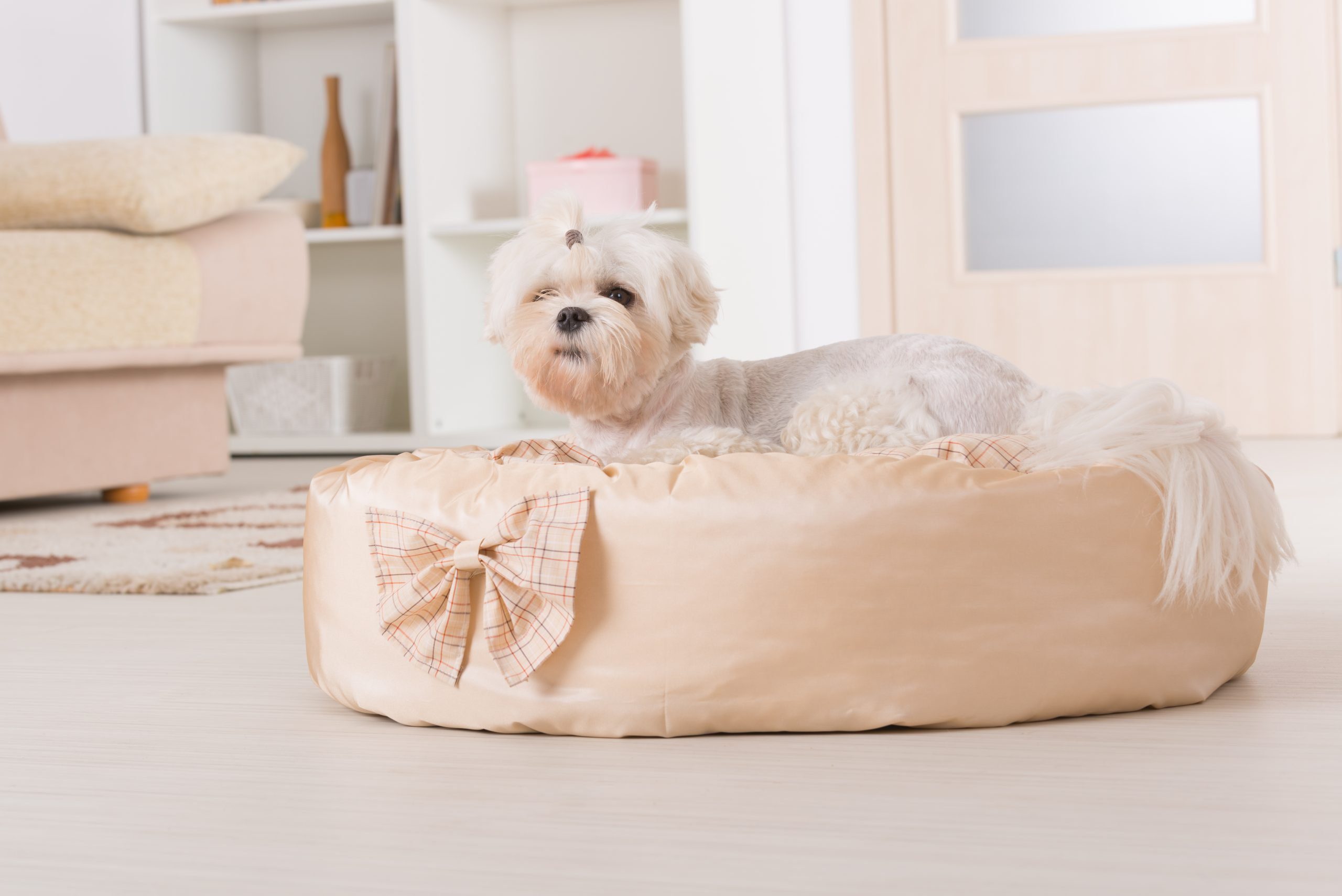 Waterproof Dog Bed Covers