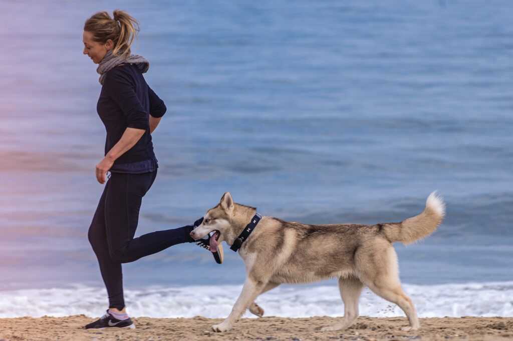 how to stop dog separation anxiety - exercise with your dog