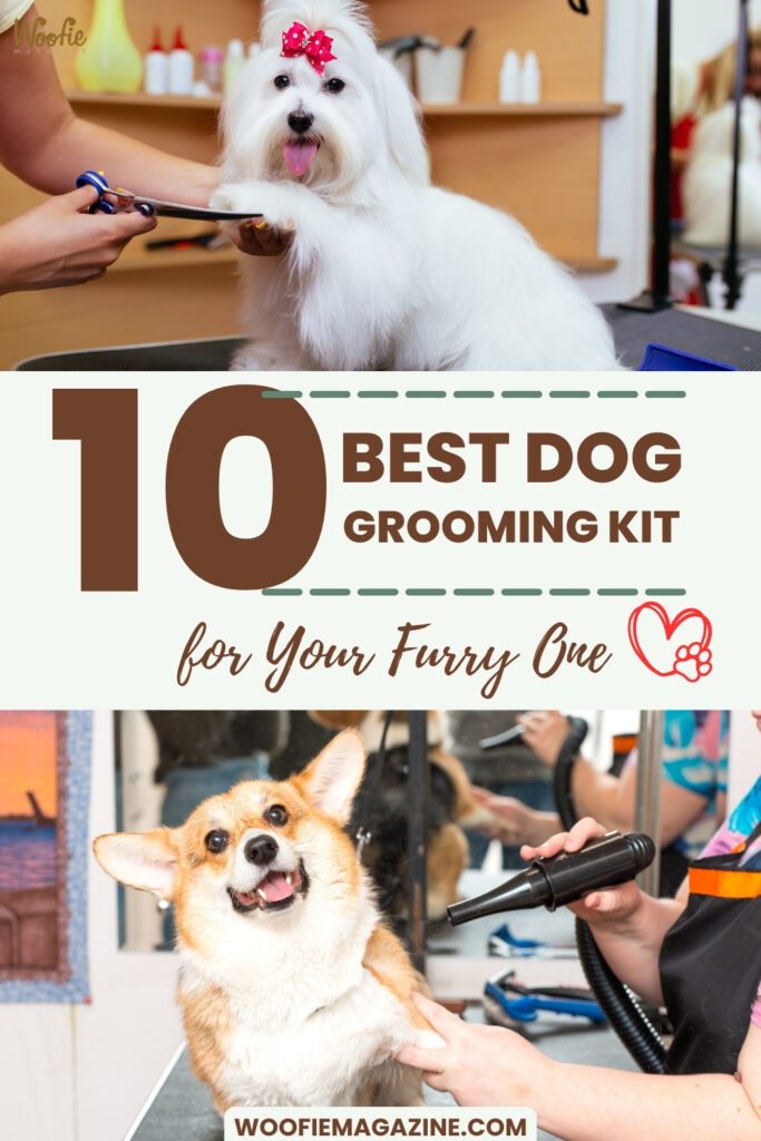 Dog Grooming - 10 Best Dog Grooming Kits