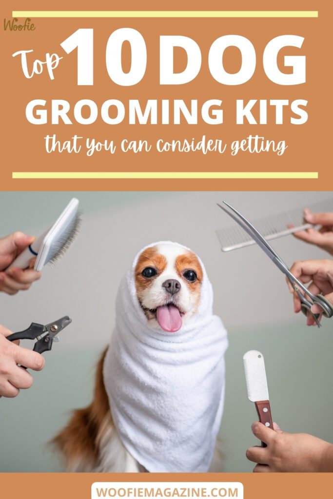 Dog Care - 10 Best Dog Grooming Kits
