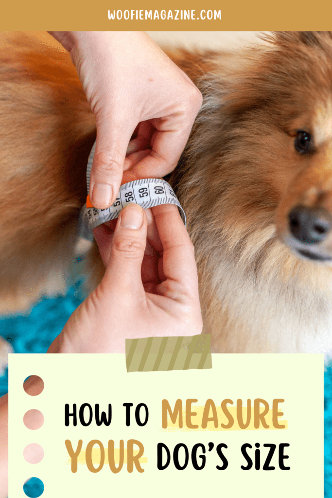 Dog Care - How to measure your dog's size for the right crate size?