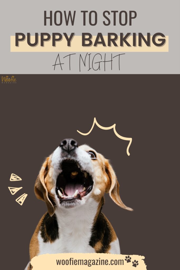 Puppy Training Tips - How To Stop Puppy Barking At Night