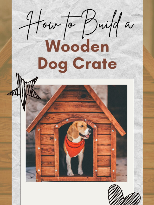 How To Build A Wooden Dog Crate